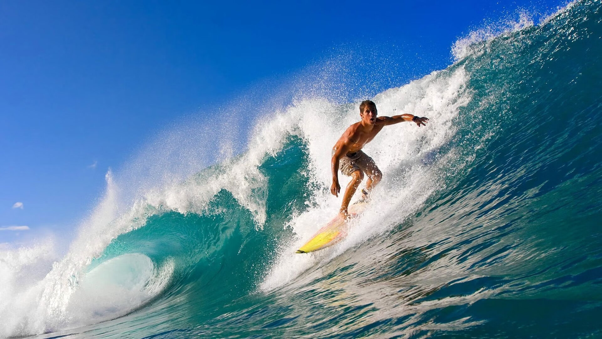 网球赛场焦点！俄罗斯队对阵葡萄牙队，核心球员受伤，球队前景蒙阴影